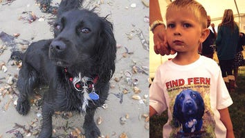 4-Year-Old Boy Writes a Heartbreaking Letter to Get His Stolen Dog Back