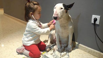 Watching This Little Girl Playing Doctor With Her Patient Dog Is the Best Kind of Medicine