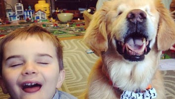 It's Impossible Not to Feel Inspired by This Therapy Dog Who Was Born Without Eyes