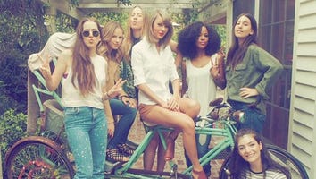 Calvin Harris Charms Taylor Swift's Gal Pals... and Her Cats