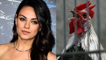 Watch Mila Kunis Hilariously Respond to Stolen Chicken Lawsuit: 'I'm Devastated'