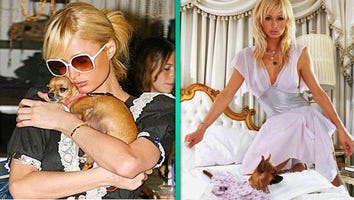 Paris Hilton Is 'Devastated' After Death of Beloved Dog Tinkerbell