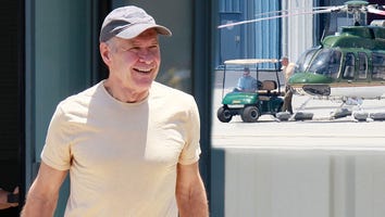 Harrison Ford Flies Again! Actor Seen in Chopper