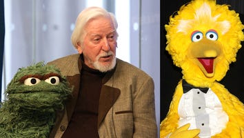 The Man Who Plays Big Bird Just Told the Most Depressing, Heartbreaking Story Ever