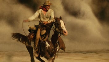 Hollywood's 6 Greatest Heroes (Who Are Horses)
