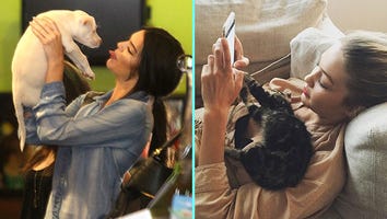 Kendall Jenner and Gigi Hadid Spent the Weekend Adopting Adorable Animals!