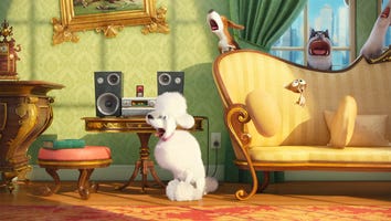 'The Secret Life of Pets' Trailer Hilariously Reveals What Happens When You're Not Home
