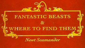 We Need Young, Gay Dumbledore in 'Fantastic Beasts and Where to Find Them' and Here's Who Should Play Him