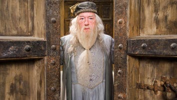 'Fantastic Beasts' Director Weighs in on Dumbledore's Sexuality in Upcoming Film
