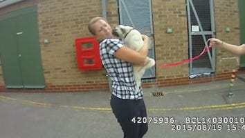 Watch This Stolen Pug's Emotional Reaction When She Is Reunited With Her Owner