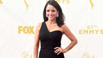 Julia Louis-Dreyfus' Anniversary Photo Proves She Doesn't Age -- See the Pic!