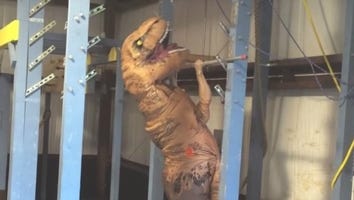 Someone in a Dinosaur Costume Totally Aced This 'American Ninja Warrior' Course