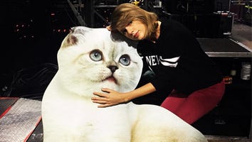 Taylor Swift's 50 Most Important Instagrams to Celebrate Her 50 Million Followers