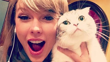 Taylor Swift Reveals How She's Spending All That Free Time Now That Her Tour Is Over