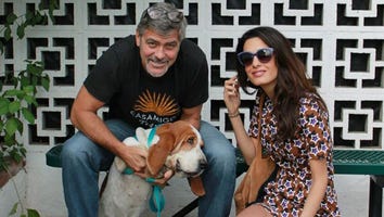 EXCLUSIVE: George and Amal Clooney Chose Their New Dog For Her 'Sweet' Personality