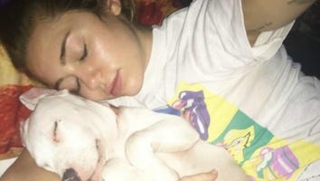 Miley Cyrus Adopts a New Puppy and It's Absolutely Adorable