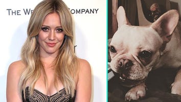 Hilary Duff's French Bulldog Beau Dies: 'I Am Shattered in a Million Pieces'