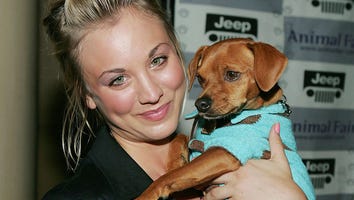 Kaley Cuoco Posts Touching Tribute After Her First Dog Petey Dies