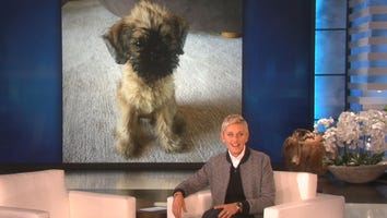 Ellen DeGeneres Announces Her New Adorable 'Kid'!