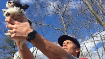 Watch Tom Brady Give His Adorable New Puppy the 'Lion King' Treatment