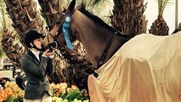 Exclusive: See Kaley Cuoco's Chic New Horse Wallpaper - It Costs Nearly $3,500!