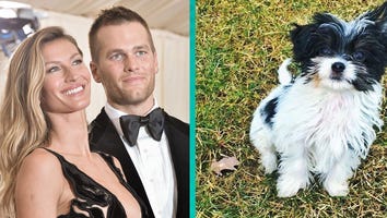 Tom Brady and Gisele Bundchen Adopt Adorable Rescue Puppy