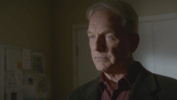 Pauley Perrette Reacts to 'NCIS' Reaching 300 Episodes: 'I Think It's the Greatest Show Ever'