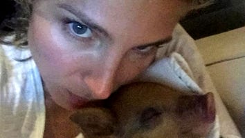 Chris Hemsworth and Elsa Pataky Get a 'Cuddly' Pet Piglet -- See the Adorable Pic!