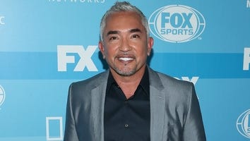 Cesar Millan Cleared of Animal Cruelty Charges Following Investigation