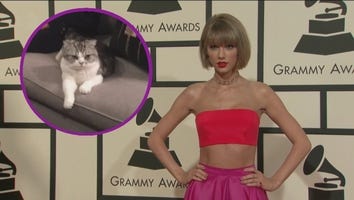 Taylor Swift's Cat Meredith Is So Over Wine Night -- See The Hilarious Photo!