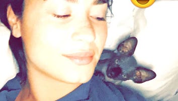 Demi Lovato Gets a Hairless Cat Despite Being Seriously Allergic: See the Cute Pics!