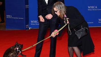 Carrie Fisher Brought Her French Bulldog Gary Fisher to the White House Correspondents' Dinner