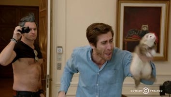 Watch Jake Gyllenhaal Drop F-Bombs and Pet a Ferret in Amy Schumer's NSFW 'Catfish' Parody