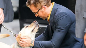 This Dog Met Ryan Gosling and Had the Exact Same Reaction You Would Have
