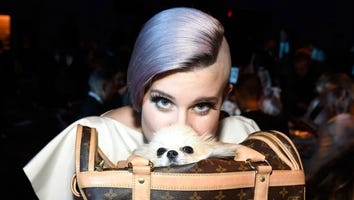 Kelly Osbourne Documents Struggle With Sample Size Dress -- See the Candid Pic!