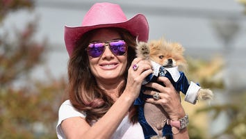 Lisa Vanderpump To Open Dog Rescue and Adoption Center In West Hollywood