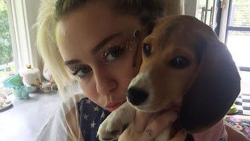 Taylor Swift, Miley Cyrus and More Celebs Celebrate the 4th of July With Patriotic Posts!