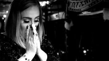 Adele Blows Her Nose Backstage in Los Angeles After Postponing Previous Concert, Meets Fan and Puppy On Stage