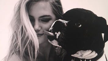 John Stamos, Kate Upton and More Celebs Celebrate National Dog Day