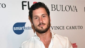 'Dancing With the Stars' Season 23 Pros Revealed -- Find Out If Your Favorites Are Back!