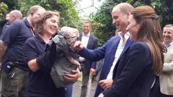 Kate Middleton and Prince William Meet a Baby Dinosaur... No Really: Pics!