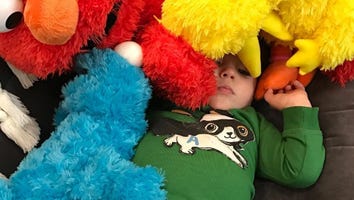 Carrie Underwood's Son 'ODs' on 'Sesame Street' Cuteness