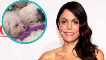 Bethenny Frankel Sells Her Home in Just One Day -- And Adopts Some Adorable Dogs