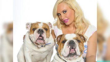 Coco Austin Mourns the Death of Adorable Bulldog Spartacus: 'My First Baby'