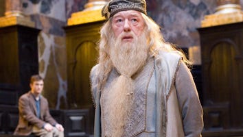 Muggles Rejoice! Dumbledore Will Appear in the 'Fantastic Beasts And Where To Find Them' Movies
