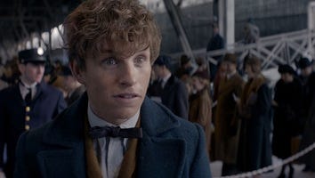 'Fantastic Beasts and Where to Find Them': 4 Burning Questions We Have After Seeing the Movie