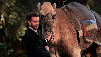 Meet the Women Who Will Vie for Nick Viall's Affection on 'The Bachelor' Season 21