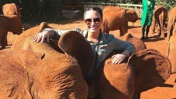 Demi Lovato Snaps Selfies With Baby Elephants in Kenya -- See the Pics!