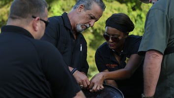 EXCLUSIVE: 'Killing Fields' Prepares to Re-Examine a Second Cold Case