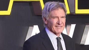 Harrison Ford Back in the Pilot's Seat After Close Call With Plane -- See the Pics